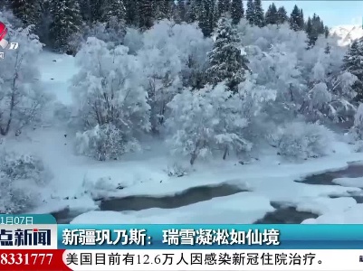 新疆巩乃斯：瑞雪凝凇如仙境