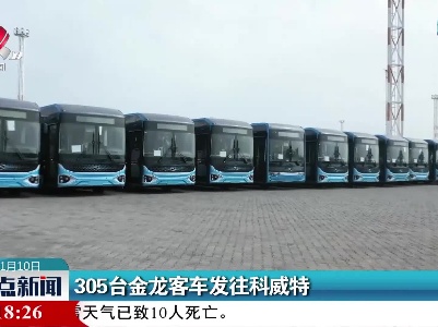 305台金龙客车发往科威特