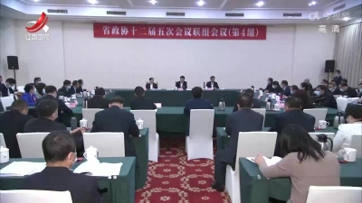 【两会进行时】省政协十二届五次会议举行第四联组讨论