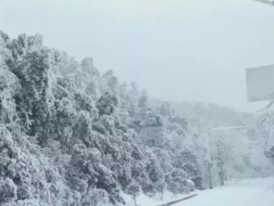 刚刚！江西气象台发布：暴雪将至