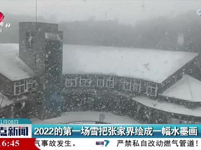 2022的第一场雪把张家界绘成一幅水墨画
