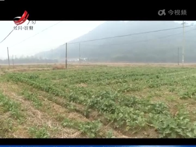 三农要闻20220117