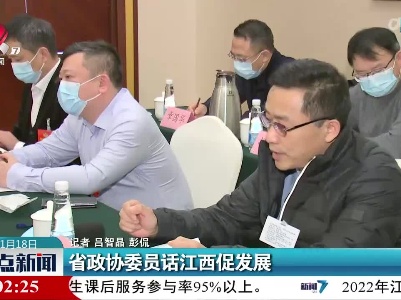 省政协委员话江西促发展