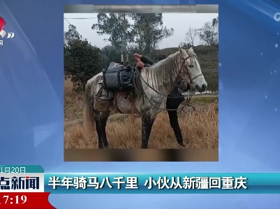 半年骑马八千里 小伙从新疆回重庆