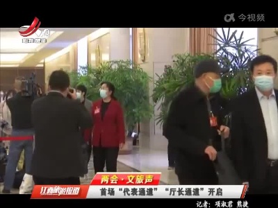 【两会·文旅声】首场“代表通道”“厅长通道”开启