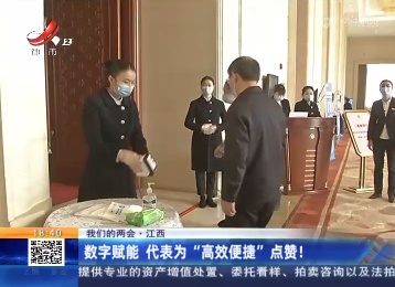【我们的两会】江西：数字赋能 代表为“高效便捷”点赞！