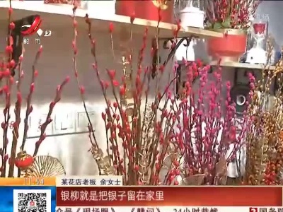南昌：花卉热销 喜迎春节
