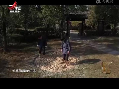非遗江西20220115