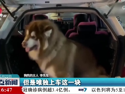 都是太胖惹的祸