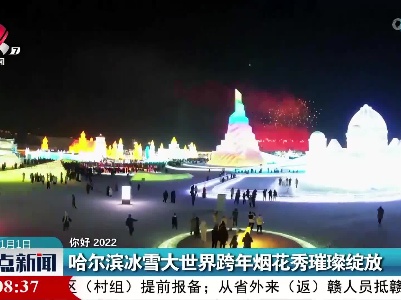 【你好 2022】哈尔滨冰雪大世界跨年烟花秀璀璨绽放