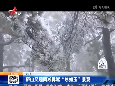 九江：庐山又现雨凇雾凇“冰如玉”景观
