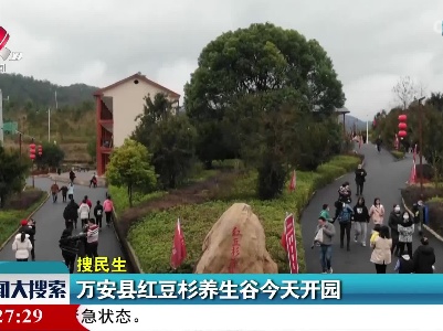 万安县红豆杉养生谷今天开园