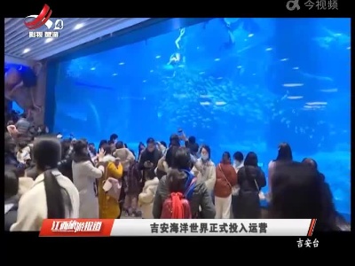 吉安海洋世界正式投入运营