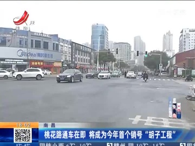 南昌：桃花路通车在即 将成为今年首个销号“胡子工程”