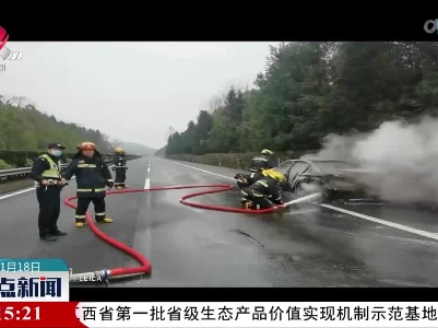 高速车辆出事故 消防及时救援