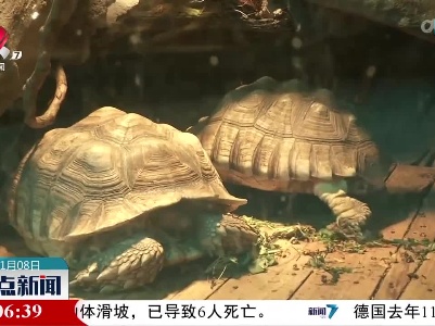 南昌动物园：“暖冬”在上演 动物很“愜意”