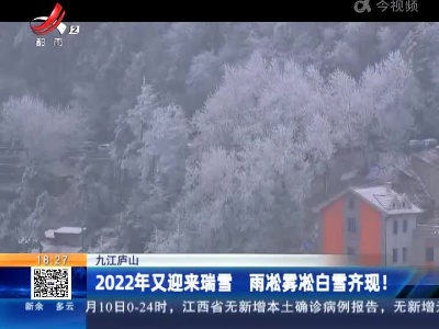 九江庐山：2022年又迎来瑞雪 雨凇雾凇白雪齐现！