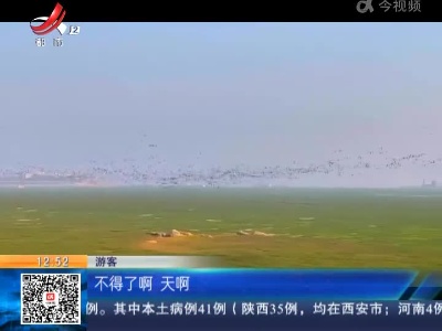 【赣闻天下】九江庐山：万鸟翔集落星墩 呦呦雁鸣生态美