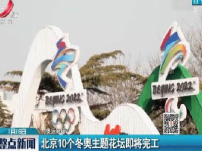 【与奥运同行】北京10个冬奥主题花坛即将完工