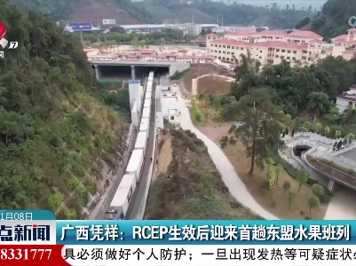 广西凭祥：RCEP生效后迎来首趟东盟水果班列