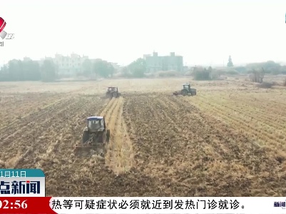 整点新闻20220111 12:00