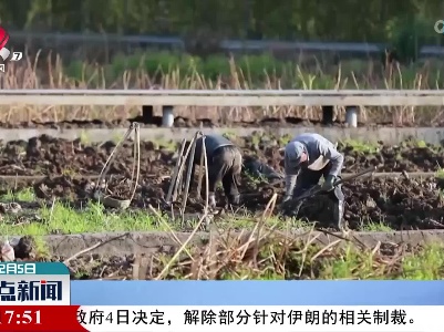 云南澄江：“藕”与抗浪鱼 美味盛住“乡愁”