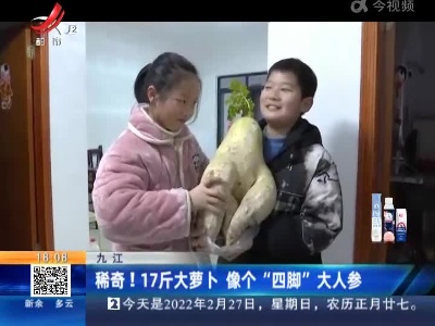 九江：稀奇！17斤大萝卜 像个“四脚”大人参