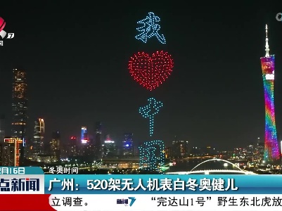 【冬奥时间】广州：520架无人机表白冬奥健儿