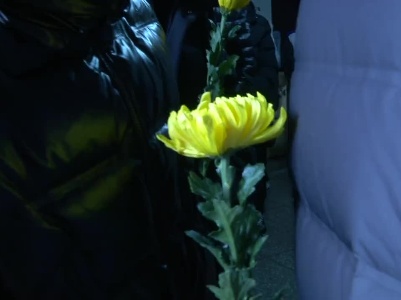 致敬！抗美援朝老兵和妻子完成遗体捐献