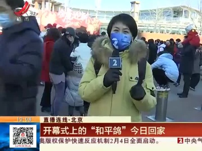 【直播连线】北京：开幕式上的“和平鸽”今日回家