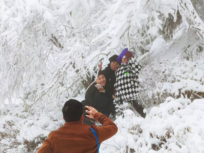 雪景太美，庐山冰雪迎来75万游客打卡