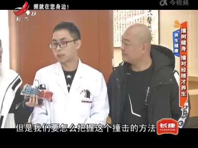 养生健康——撞树健身 撞对经络才养生