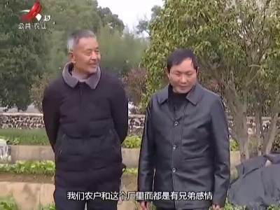 三农要闻20220201
