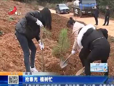 南昌：抢春光 植树忙