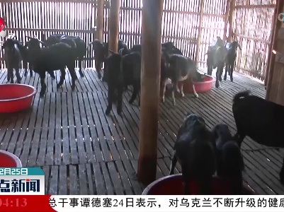 到2025年力争江西省牛羊肉产量达30万吨