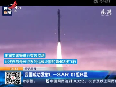 我国成功发射L一SAR 01组B星
