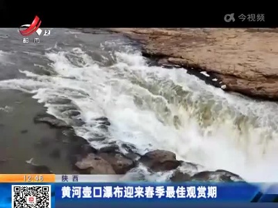陕西：黄河壶口瀑布迎来春季最佳观赏期