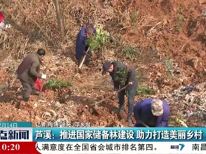 芦溪：推进国家储备林建设 助力打造美丽乡村