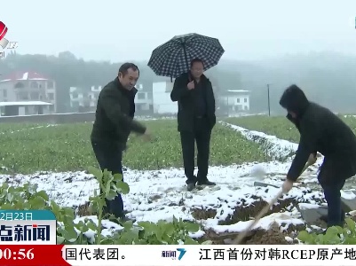 【南方多地迎来降雪】应对雨雪天气 他们在行动