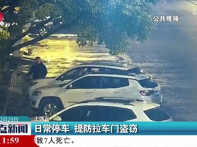 日常停车 提防拉车门盗窃