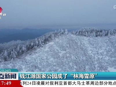 钱江源国家公园成了“林海雪原”