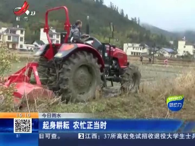 今日雨水：起身耕耘 农忙正当时