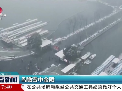 鸟瞰雪中金陵