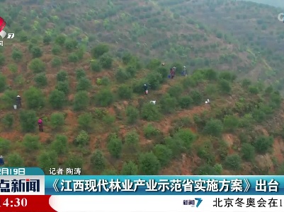 《江西现代林业产业示范省实施方案》出台