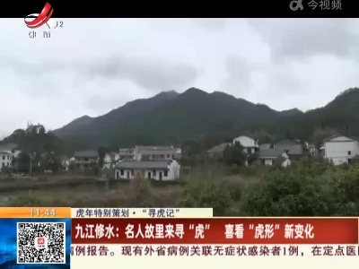 【虎年特别策划·“寻虎记”】九江修水：名人故里来寻“虎” 喜看“虎形”新变化