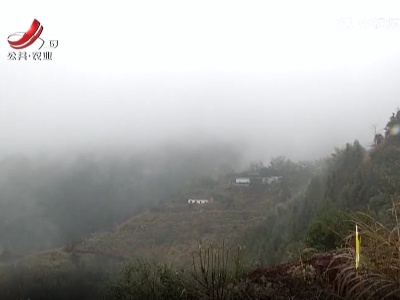 新闻晚高峰20220203