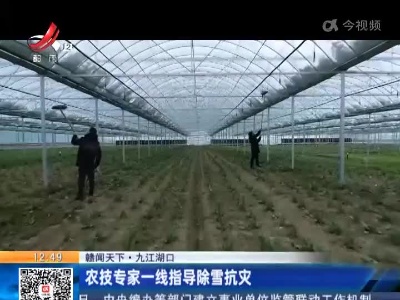 【赣闻天下】九江湖口：农技专家一线指导除雪抗灾