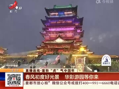 【直播连线·蓬勃“虎”气中国年】春风初度好光景 华彩游园等你来