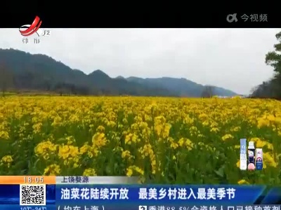 上饶婺源：油菜花陆续开放 最美乡村进入最美季节