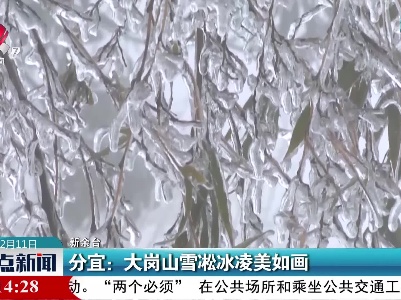 分宜：大岗山雪凇冰凌美如画